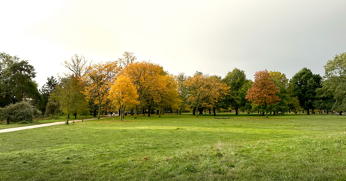 Autumn 2023, park in London