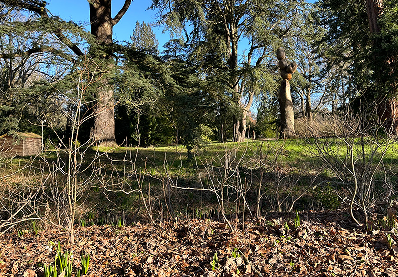 Unique branches