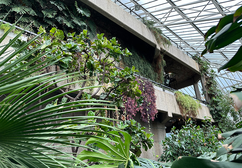 バービカンっぽい建物とマッチする植物君たち