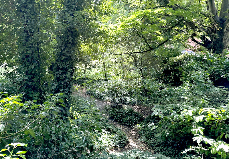 Green area in the Camden Art Centre