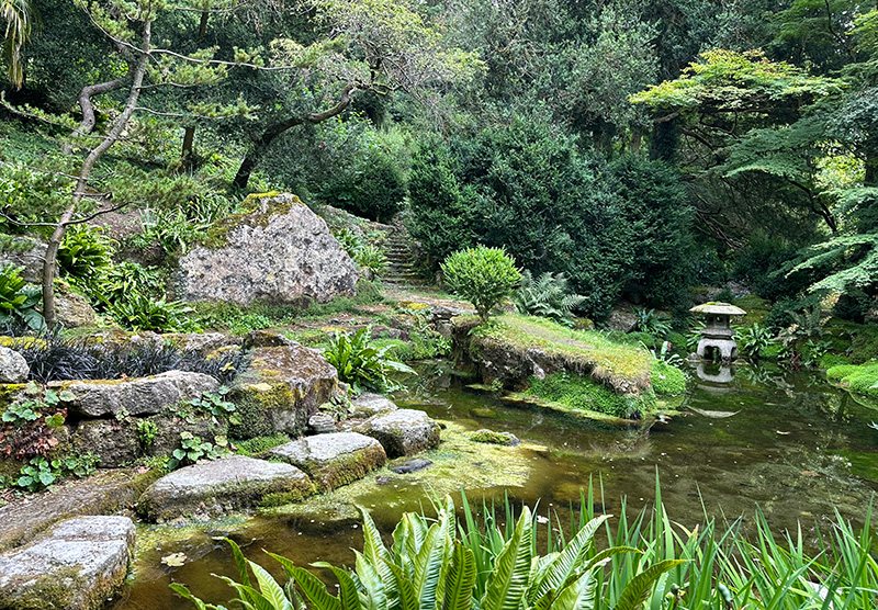 The Japanese Garden