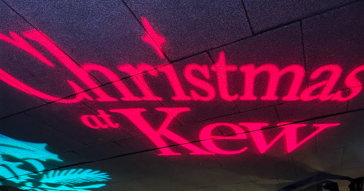 Christmas at Kew