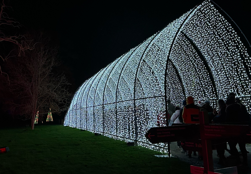 tunnel of the lights