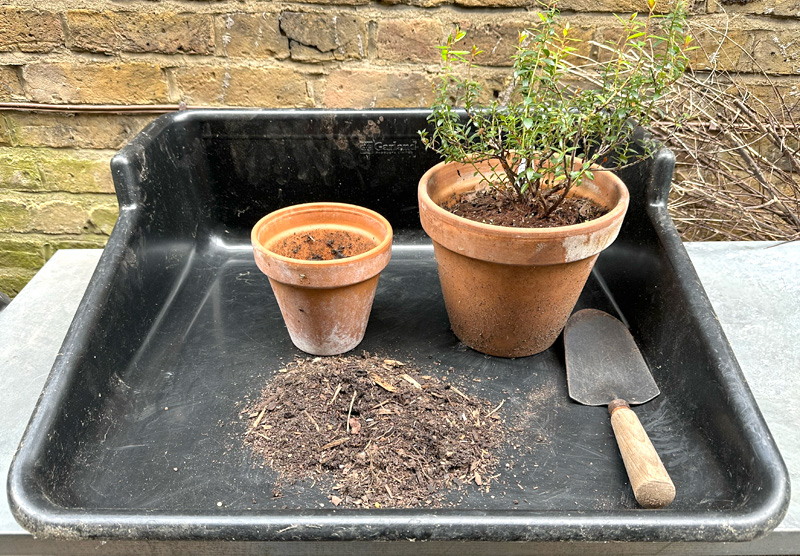 tidy potting tray