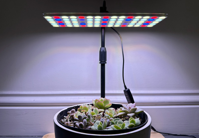 LED plant light