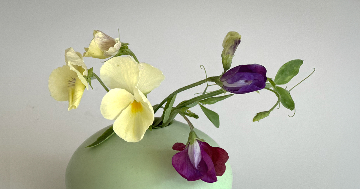 Pansy & Sweetpea