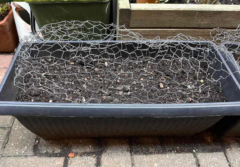 chicken wire on the container
