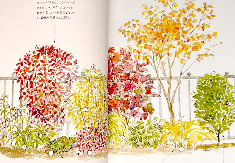 shady garden in late autumn