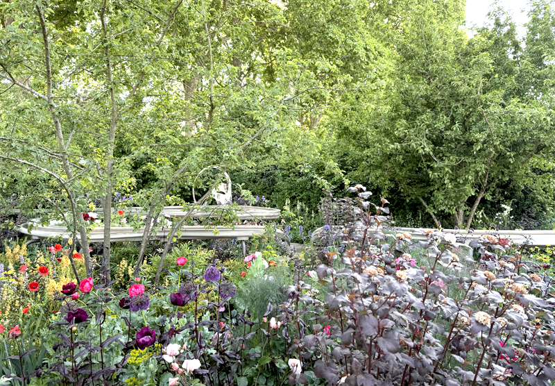A Garden for Every Parkinson’s Journey