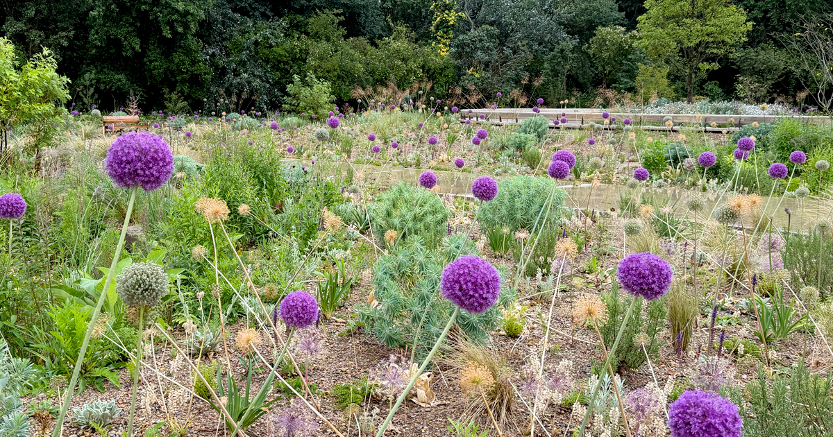 Queen Elizabeth II Garden