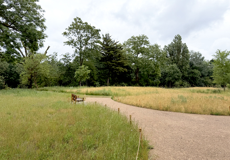 field like garden