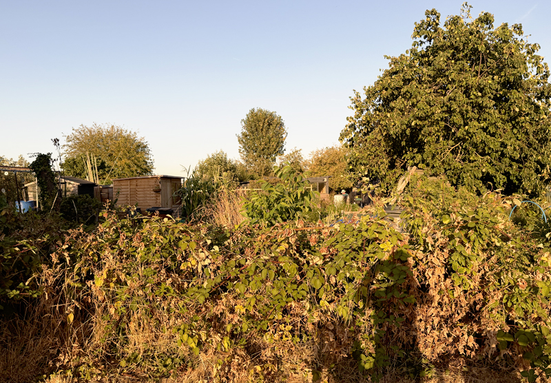 environment at eclipse
