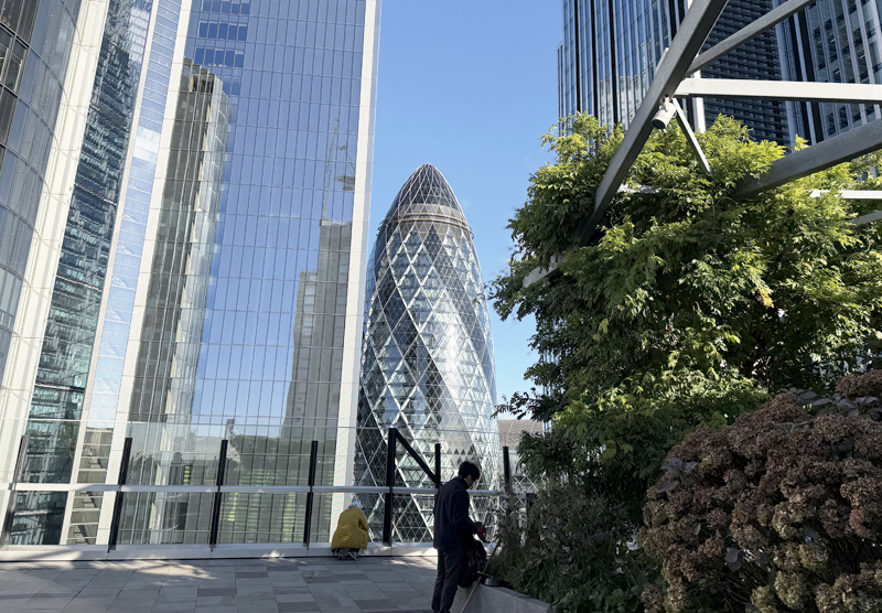The Gherkin